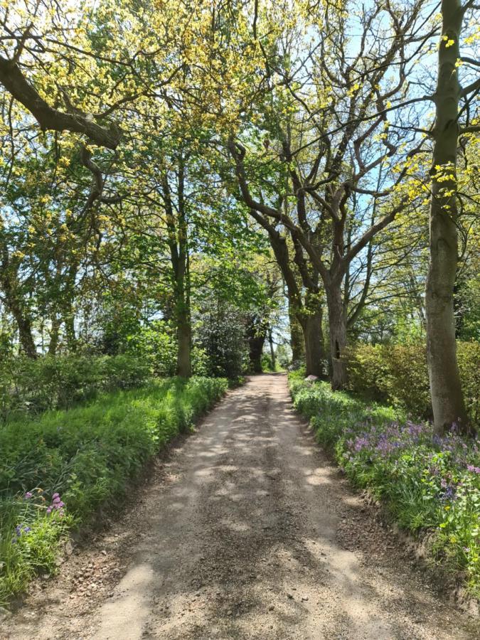 Sloley Hall Tunstead  Buitenkant foto
